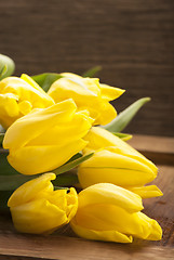 Image showing yellow tulips