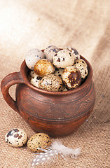 Image showing Quail eggs in a jug, a feather on a canvas