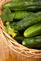 Image showing Fresh cucumbers