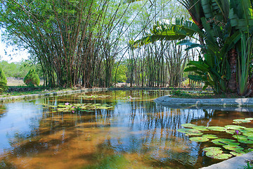 Image showing Pond