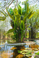 Image showing Pond