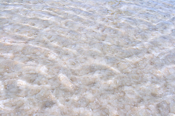 Image showing Raw salt texture