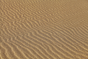 Image showing Rippled sand