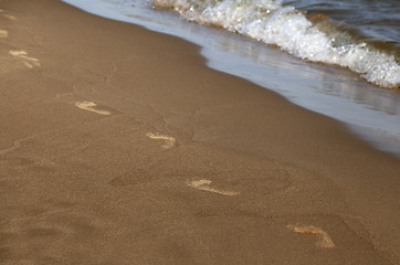 Image showing Footprints along the shore