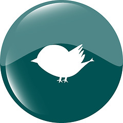 Image showing Glossy isolated website and internet web icon with bird symbol