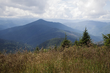 Image showing Carpathian mountains