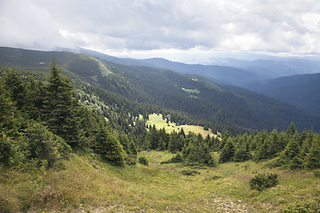 Image showing Carpathian mountains