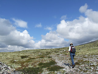 Image showing Hiking