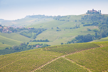 Image showing Tuscany vineyard