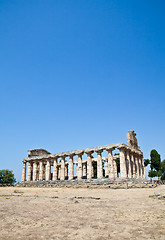 Image showing Paestum temple - Italy