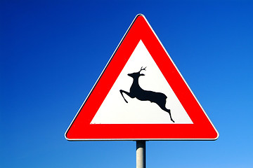 Image showing traffic sign deer pass