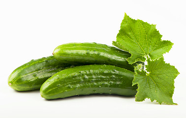 Image showing Fresh cucumbers