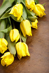 Image showing yellow tulips