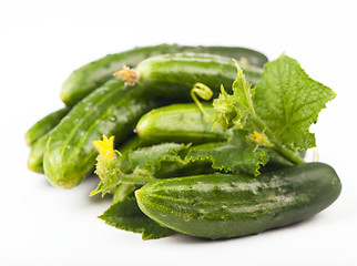 Image showing Fresh cucumbers