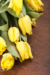 Image showing yellow tulips