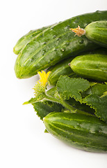 Image showing Fresh cucumbers