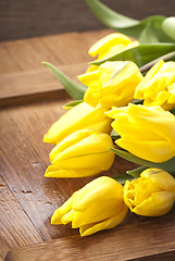 Image showing yellow tulips