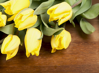 Image showing Yellow tulips