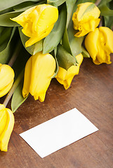 Image showing Yellow tulips