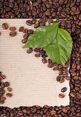 Image showing coffee grains and leaves