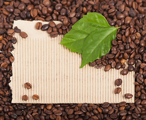 Image showing Coffee  and leaves