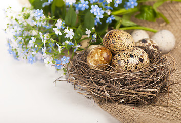 Image showing quail eggs and spring flowers