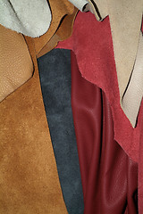 Image showing Samples of leather