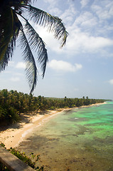 Image showing  Iguana Beach Little Corn Island Nicaragua Central America on Ca