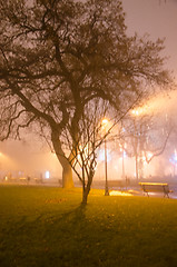 Image showing Fog in the city in a winter evening
