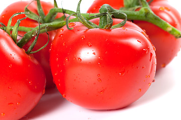 Image showing Ripe tomato with water drops on white background