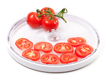 Image showing Ripe tomato on food dehydrator tray