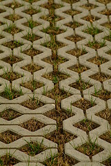 Image showing paving stone