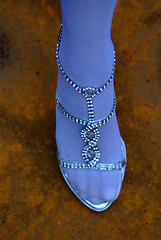 Image showing lady's shoe