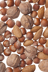 Image showing Nuts