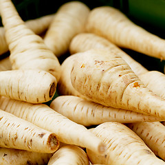 Image showing fresh parsley root on market outdoor macro