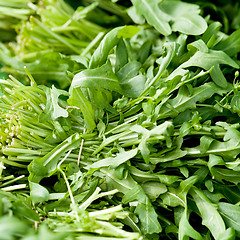 Image showing fresh green rucola salad on market macro