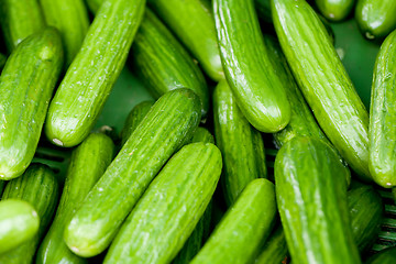 Image showing fresh green cucumber on market macro