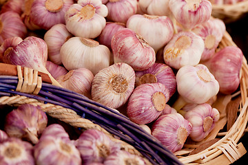 Image showing group of purple white garlic in basket macro