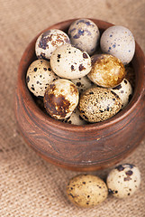 Image showing Quail eggs