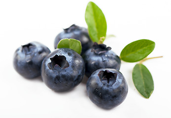 Image showing  blueberry