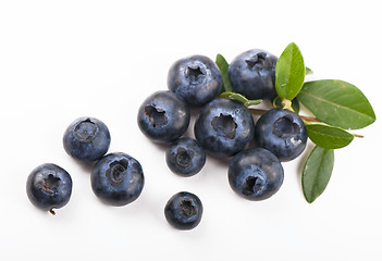 Image showing  blueberry