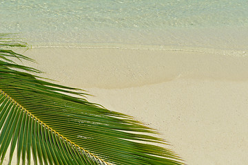 Image showing tropical beach