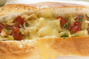 Image showing Melted Cheese Hot Dog