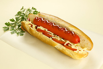 Image showing Hot Dog With Cheese