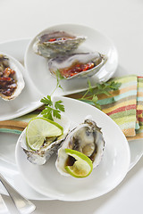 Image showing Platter Of Oysters