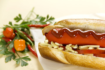 Image showing Chilli Hot Dog