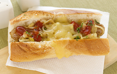 Image showing Melted Cheese Hot Dog