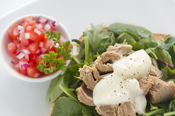 Image showing Open Tuna Salad Sandwich