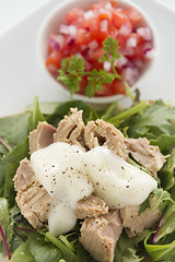 Image showing Open Tuna Salad Sandwich