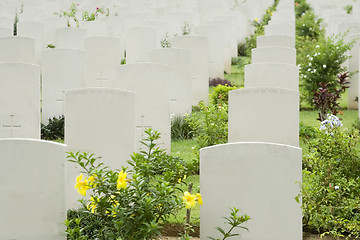 Image showing Headstones in a war cemetery

